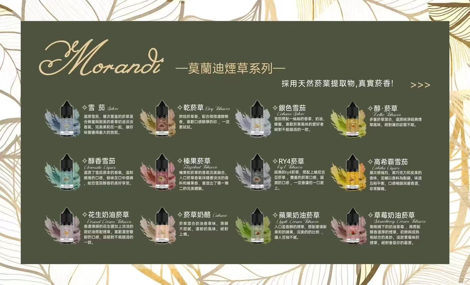 WeChat-圖片_20260124000625.jpg